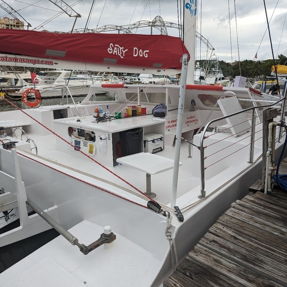 Meet your Posher, Daisy - Picture 16 of 16